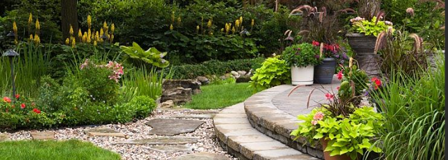 Vine & Branch Landscapes LLC logo
