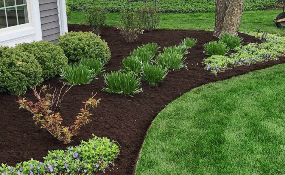 Mulch Mulching Compost Jason Simmonds Vine & Branch Landscapes Portland Oregon